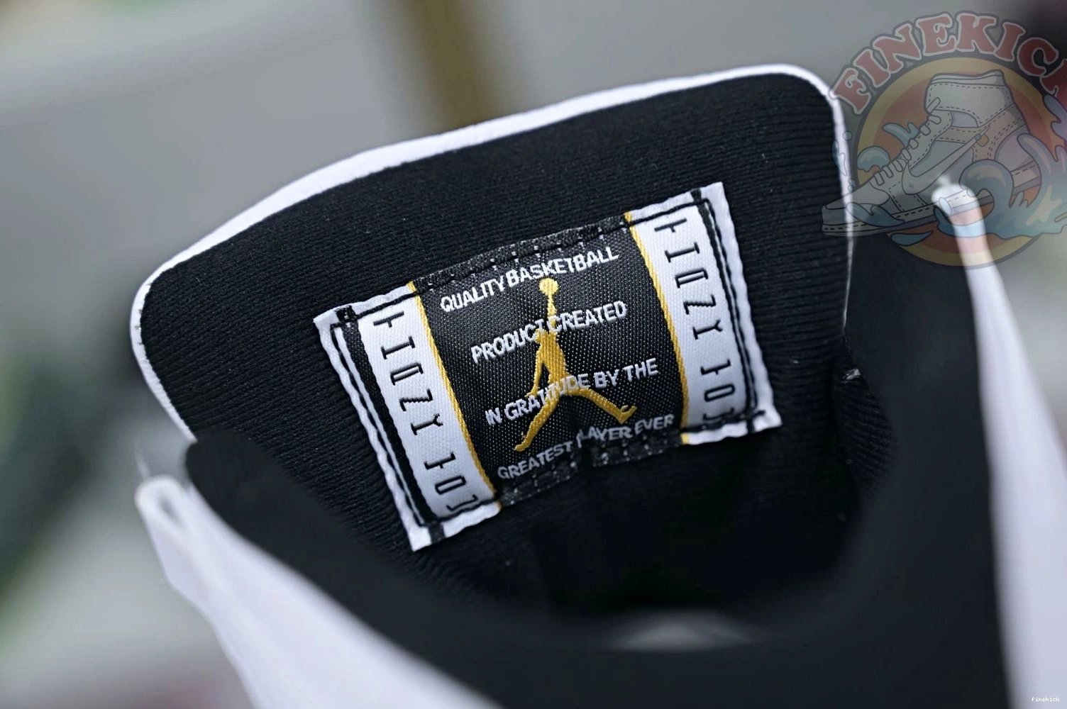 11 Jordan Air 2023 DMP 